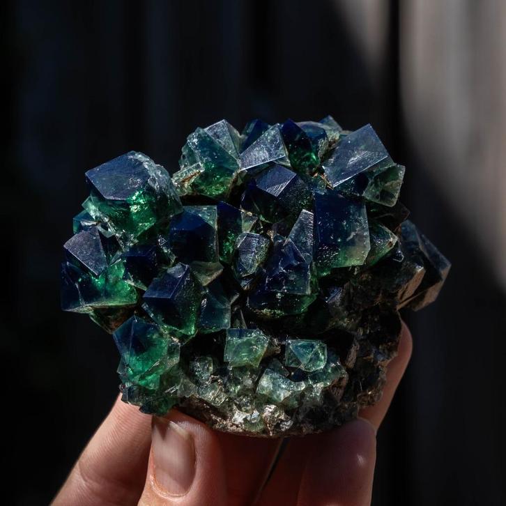 gem of wonders