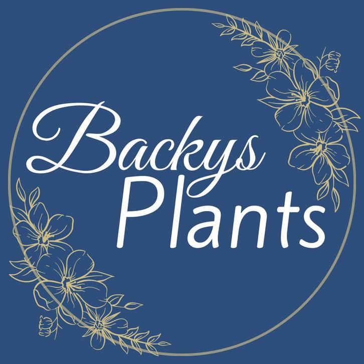 Backy’s plants