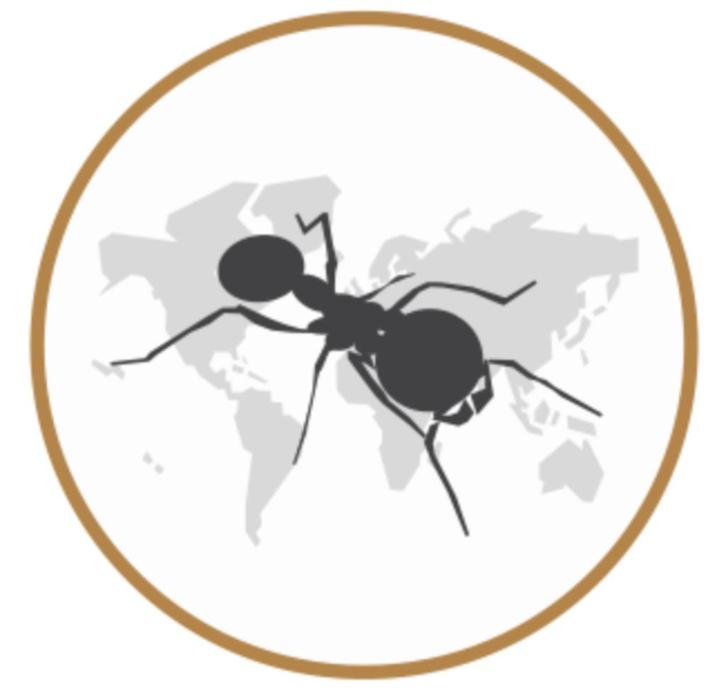 Ant's Kingdom | Mierenboerderij