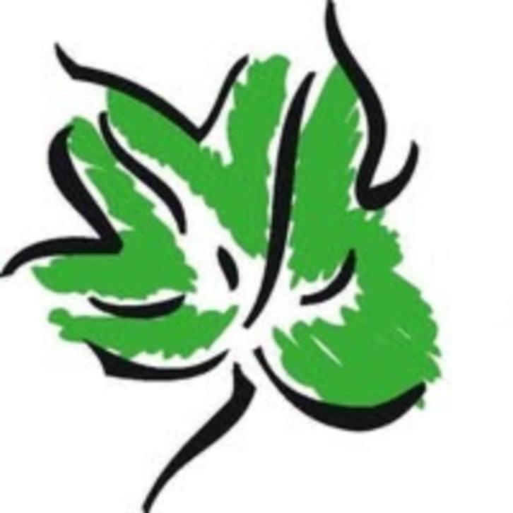 VTPLANTENTUINCOM