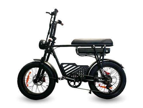 Fatbikekoning