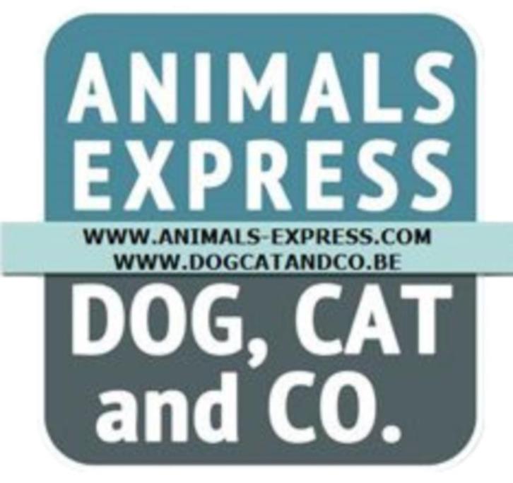 ≥ Dog, Cat and Co uit Zellik (België) Advertenties op Marktplaats