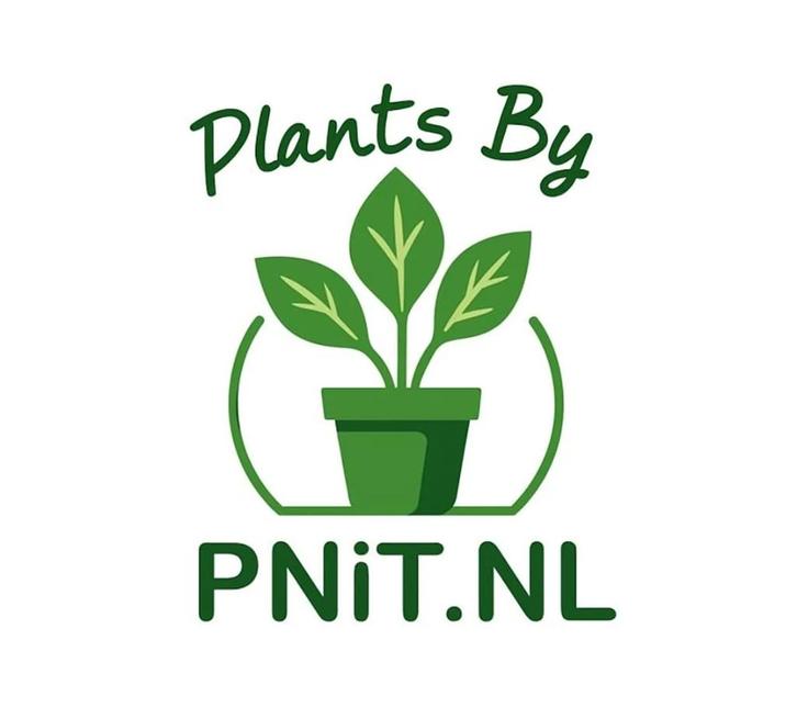 Plants by PNiT