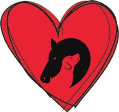 paardenspullenshop