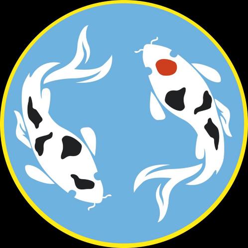 Sensi Koi