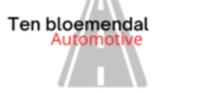 Ten Bloemendal Automotive