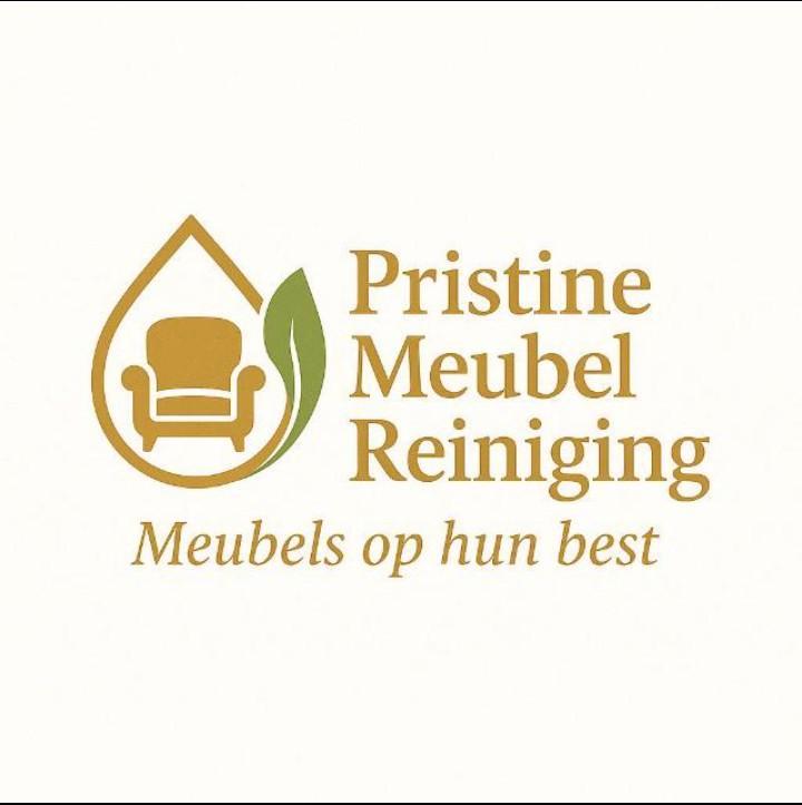 PristineMeubel Reiniging