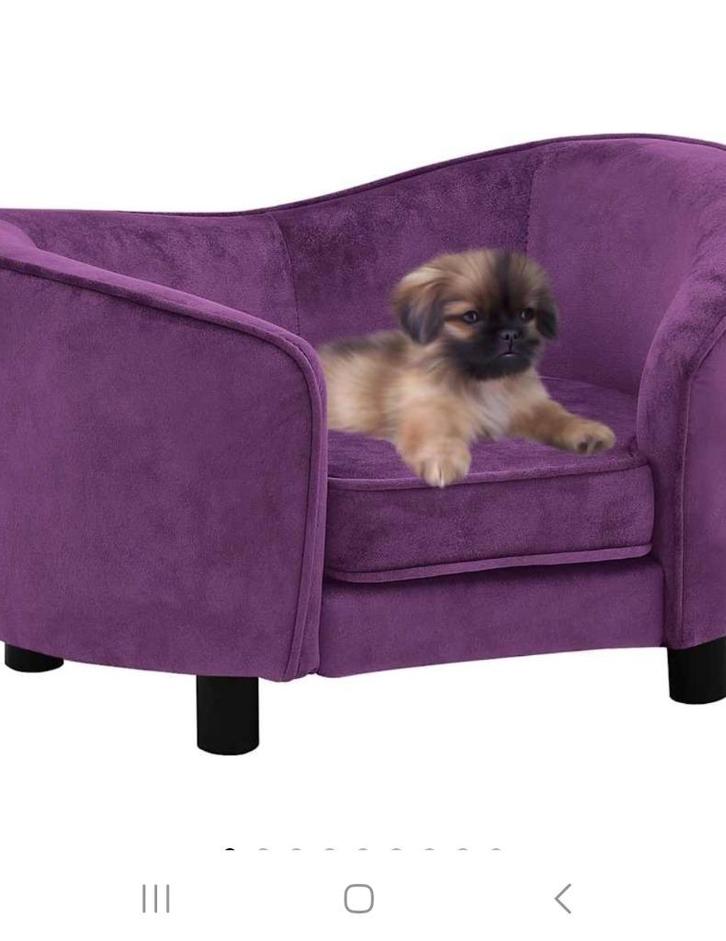 Quality Pet Shop
