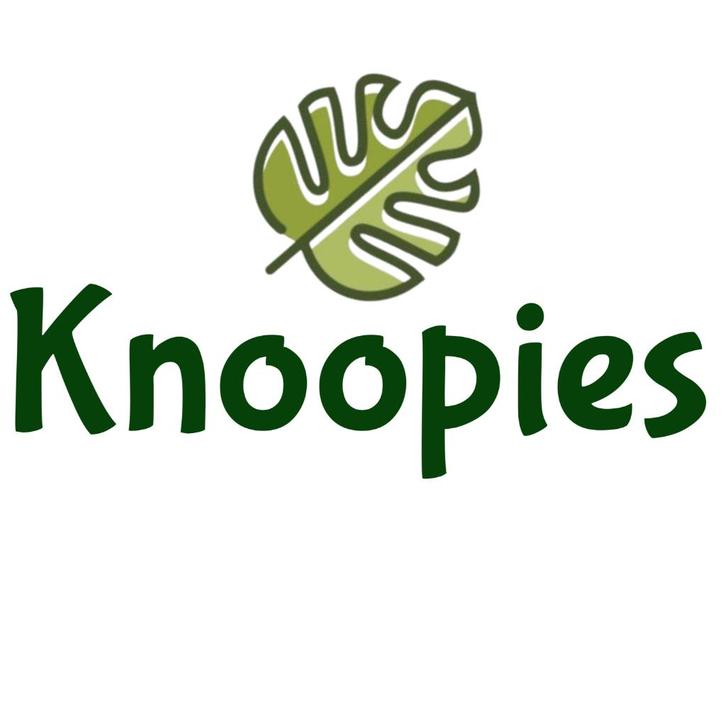 Knoopies