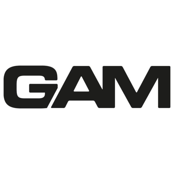GAM BV