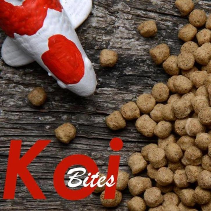 budgetkoiproducts