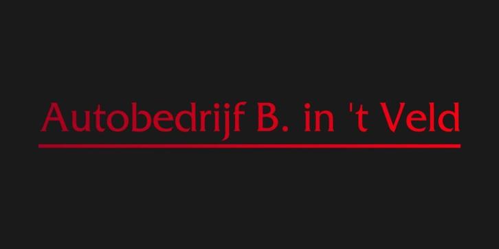 Autobedrijf B. in 't Veld