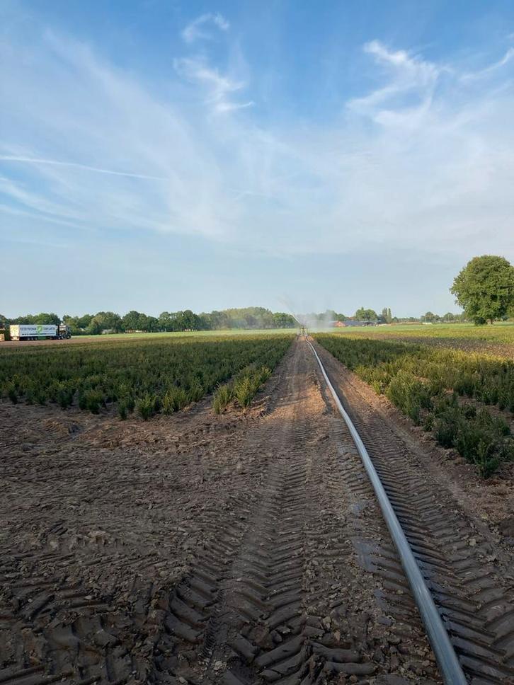 Prosman Planten 