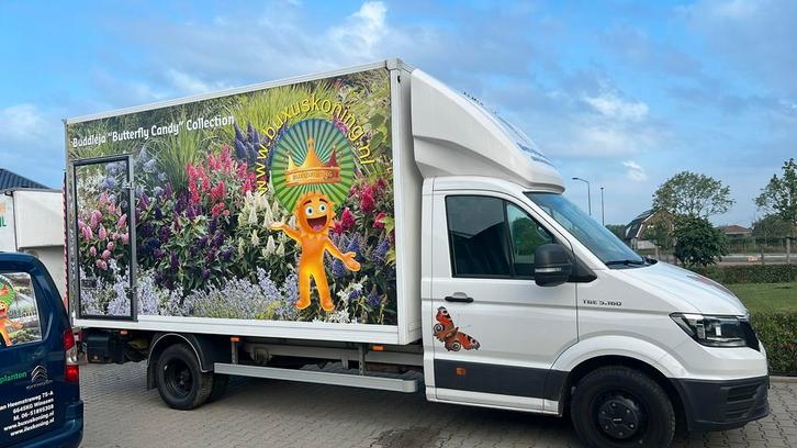 Tuinplantenkwekerij Buxuskoning 