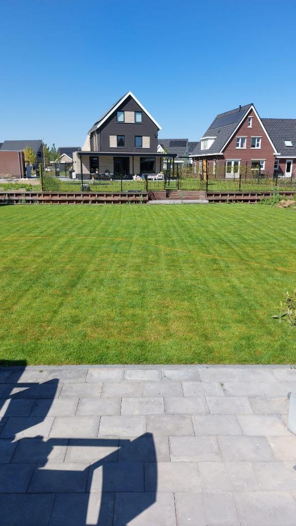 Graszoden Hoogeveen
