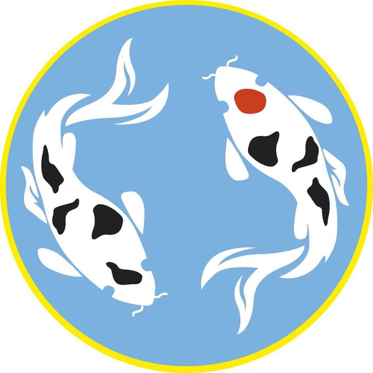 Sensi Koi