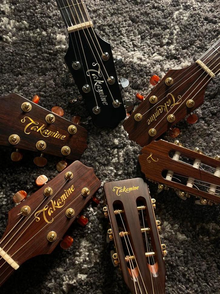 van Leeuwen guitars
